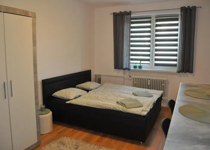Apartament Micinska